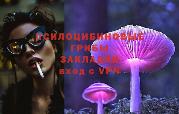 гидропоника Калининец