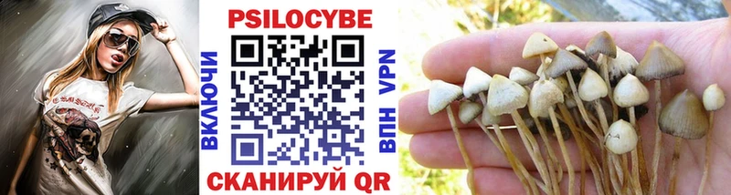 что такое   Великий Устюг  Галлюциногенные грибы прущие грибы 