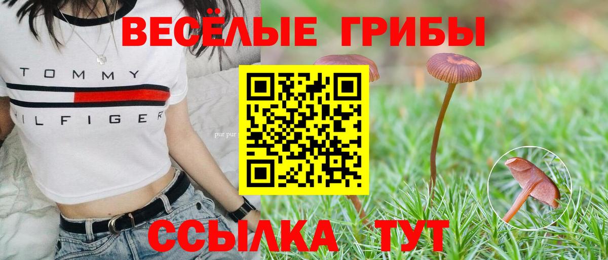 Псилоцибиновые грибы Magic Shrooms  Вход с VPN  Великий Устюг  где можно купить   Псилоцибиновые грибы мухоморы 