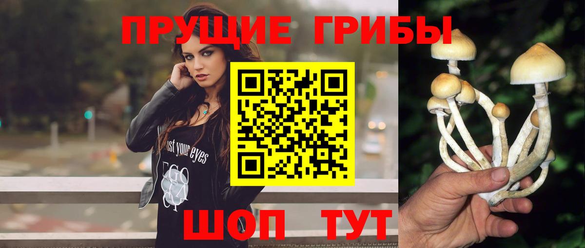 Псилоцибиновые грибы мицелий  где можно купить наркотик  Великий Устюг 