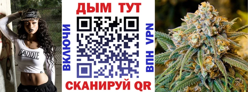 Бошки марихуана марихуана  закладка  Великий Устюг 